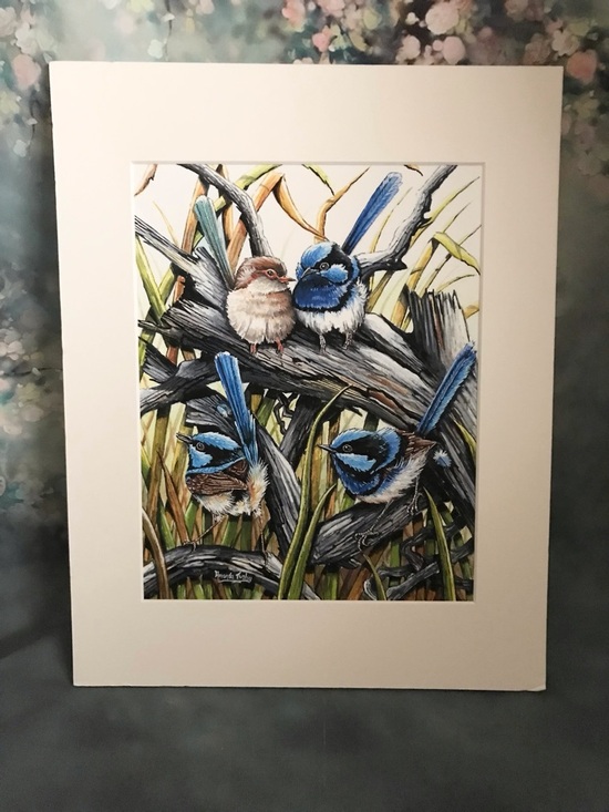 Other - Beautiful Amanda Tuchy ‘Four Wrens’ Blue Birds Print
